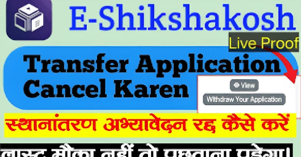 Important Things to Know About Transfer Withdrawal