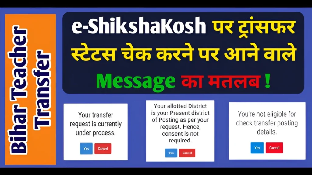 Step‑by‑Step: What You Should Do Now